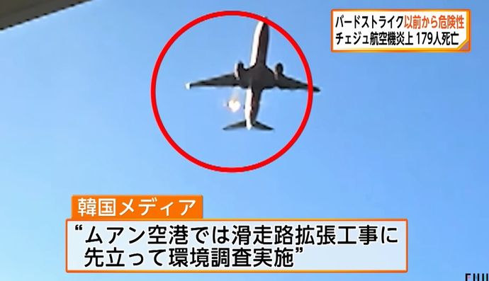 チェジュ航空旅客機事故「バードストライクでランディングギアが下りない？極めて異例」…海外専門家が注目！