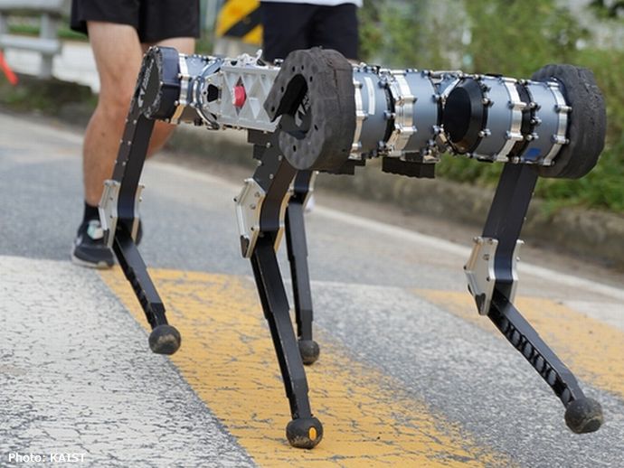 韓国KAISTの四足歩行ロボット、世界で初めてフルマラソンを4時間19分52秒で完走！