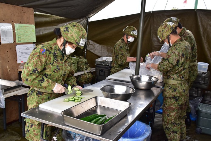 52840272_403376176876530_3871087799507615744_o