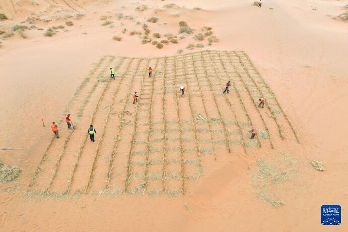 春のトングリ砂漠、砂漠化防止プロジェクトを実施中…中国内モンゴル自治区！