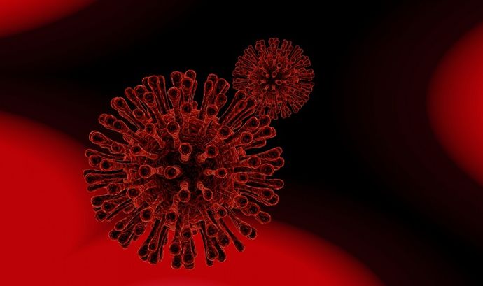「狼牙ヘニパウイルス」中国東部で動物由来の新種ウイルスに35人が感染！