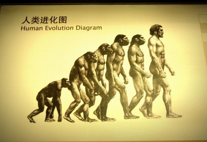 進化が止まったものランキング？…3位は「人間」1位は！