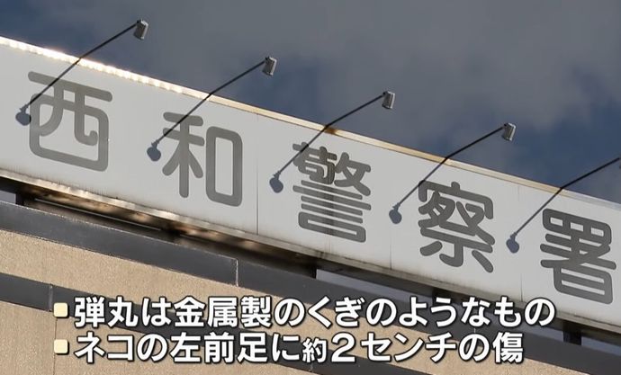 「食料の一部として狩ろうとした」自作銃で猫を撃った男(49)を逮捕…奈良県！