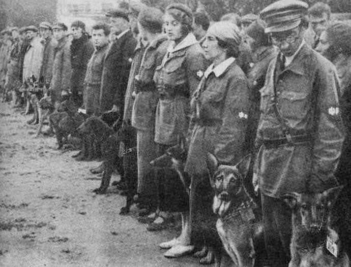 「ドイツ戦車破壊してこい」犬に特攻をさせた地雷犬の悲劇！
