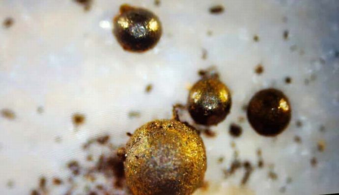 太平洋に落下の隕石は「太陽系外の物質」と判明…地球外文明の宇宙船解明に前進！