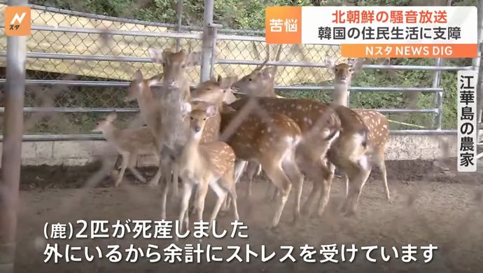 北朝鮮が軍事境界線近くで騒音放送け…韓国側の住民苦悩「鹿2匹が死産しました」！