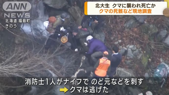 大千軒岳で死んでいたクマ、消防士のナイフが気管まで達し致命傷に…遺体の大学生との関係は胃の内容物で最終確認！