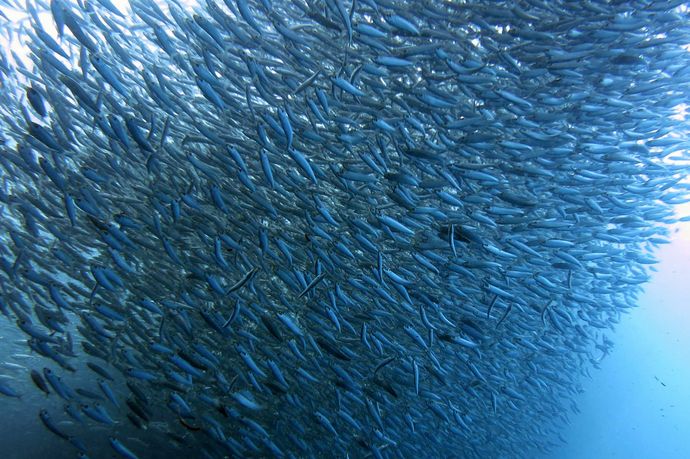 「地震は海底核実験によって引き起こされた」フェイクニュースを放置する中国政府！