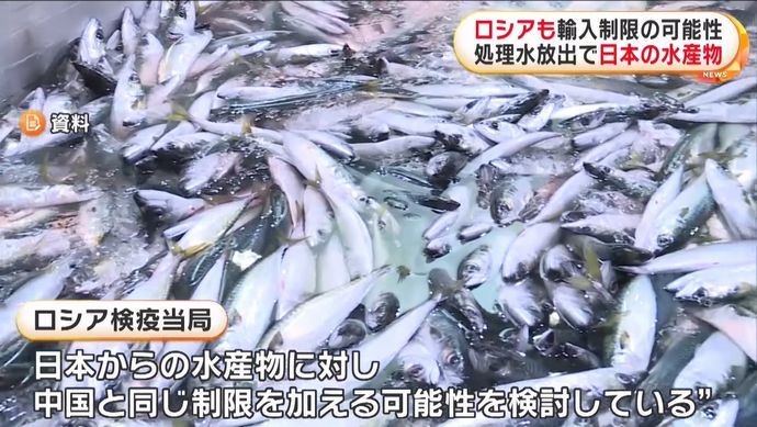 ロシアが日本産水産物の禁輸を検討、中国の措置に参加…輸入量は118トン！