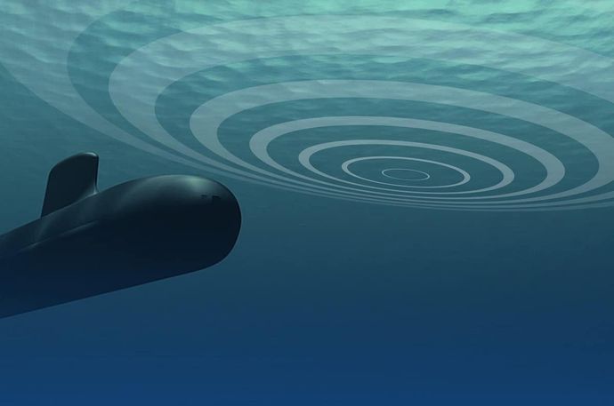 ゼレンスキー大統領「ロシアが生態系破壊」イルカ大量死など…艦船ソナーなどで！