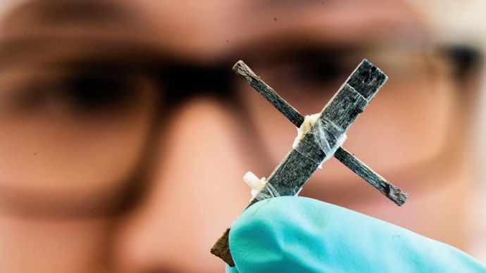 世界初の「木製のトランジスタ」の開発に成功…スウェーデン！