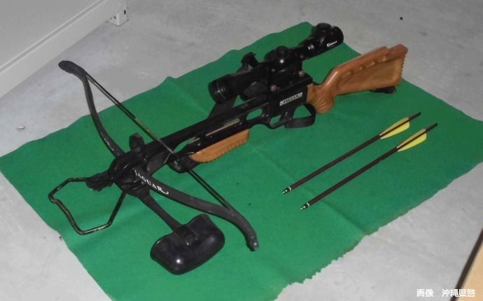 「クジャク駆除のため持っていた」許可なくクロスボウ所持で会社員を書類送検…宮古島署！