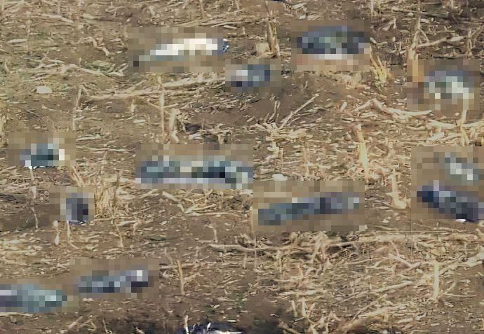 バフムート戦線で多数の兵士死体…ゼレンスキー大統領はドンバス地域の前線状況は「厳しい」！