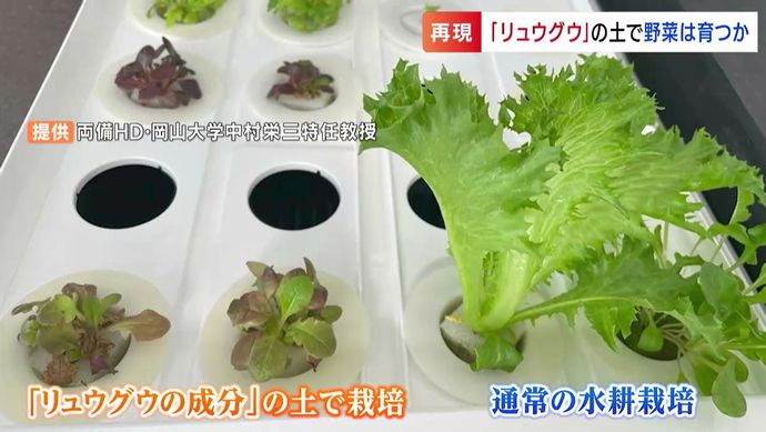 「月での自給自足に可能性」岡山大学が研究成果…小惑星リュウグウから採取した砂と同じ成分で野菜栽培に成功！