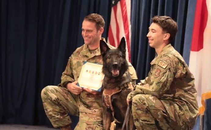 軍用犬「リコ」が第2の人生へ、米軍横田基地で5年間の任務を終えて引退…訓練指導役のホジソン軍曹宅で飼い犬に！