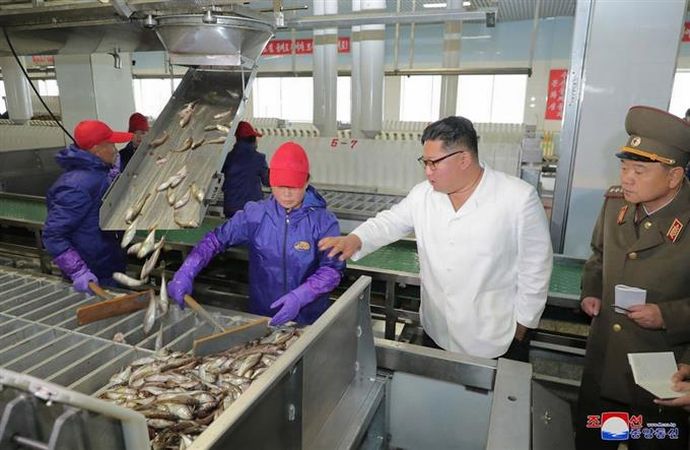 「こんなの要らない」金正恩から高級魚ハタハタ配給に不満顔の北朝鮮労働者！