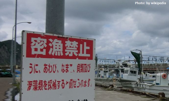 「密漁」ツアーに勤しむ中国人観光客たち…トランクいっぱいに海産物を持ち去る！