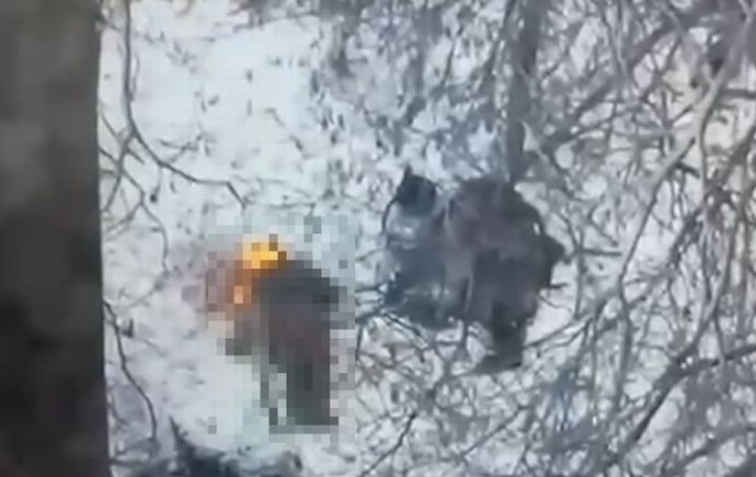 「ロシアが戦死した北朝鮮兵の顔を焼いている、身元を隠すために」…ゼレンスキー大統領が動画公開！