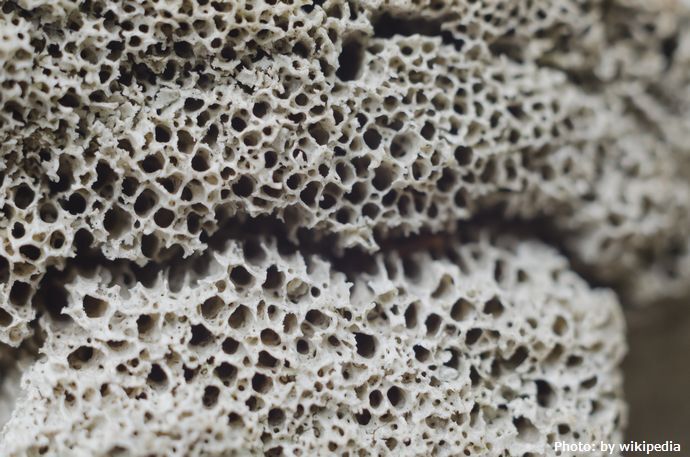 「人間の骨」の構造を真似したらコンクリートブロックの強度が5.6倍に！