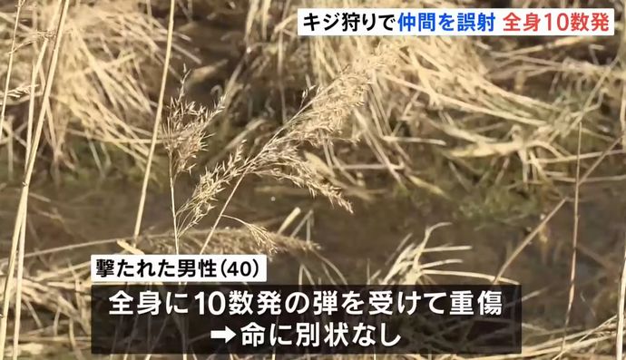 キジ狩りで仲間を誤射、散弾数十粒が全身に当たり重傷…発砲の男性「誰もいないと思った」！
