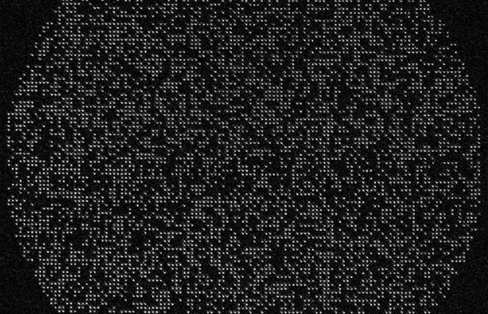 量子コンピューターとして最大の6100量子ビットアレイ構築…カリフォルニア工科大学研究チームが成功！