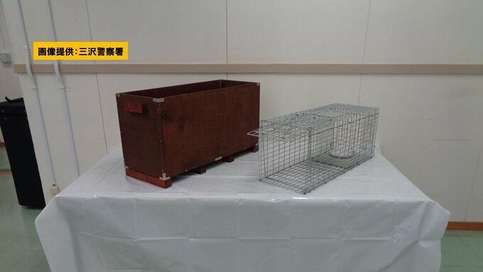 猫2匹を水に沈めた動物愛護法違反容疑で2等陸曹(51)を逮捕…陸自八戸駐屯地所属！
