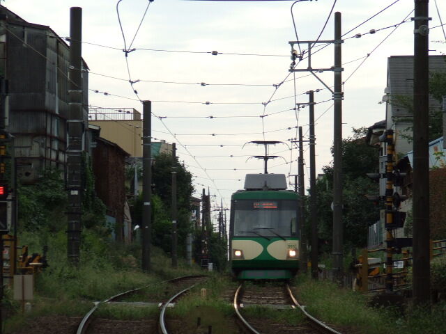 TKK_Setagaya_Line