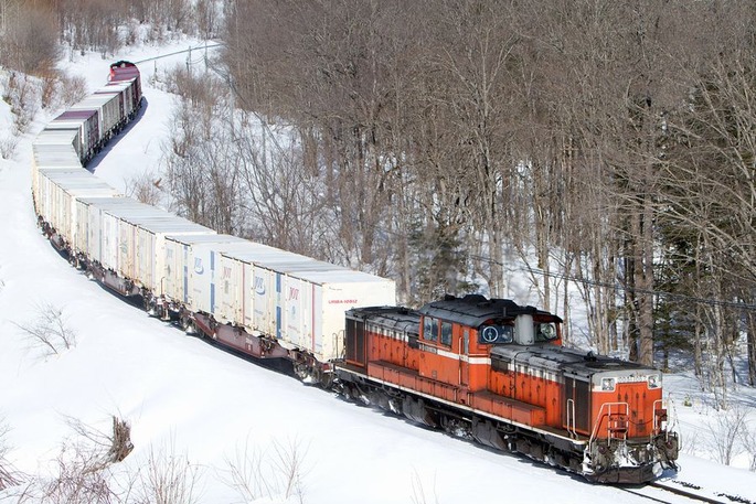 JR_Sekihoku_line-DD51freight_train