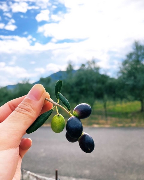 5B281EF2-0DD4-458E-A503-855B91DAC3AF