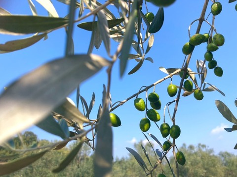 13D28697-C023-477C-9FC7-57111C51D3B7