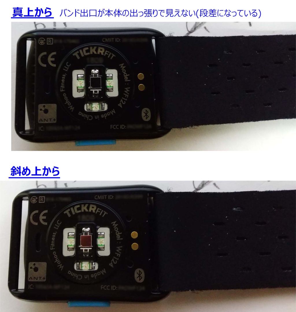 Wahoo Tickr Fit アームバンド購入 アラフォーから始める自転車競技 Wahoo Tickr Fit アームバンド購入 アラフォーから始める自転車競技