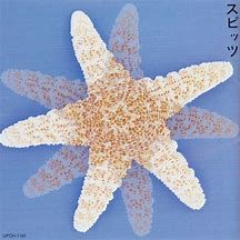 都市伝説 本当は怖い スピッツ歌詞話 暇つぶし という名の生き方