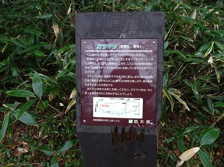 DSC03041