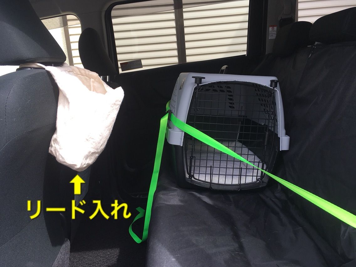 コロ助とのドライブでの二つの大事件 柴犬コロ助のほがらか生活 コロ助とのドライブでの二つの大事件 柴犬コロ助のほがらか生活