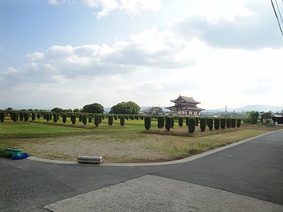 イメージ 5
