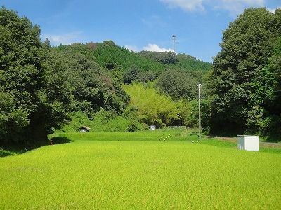 イメージ 5