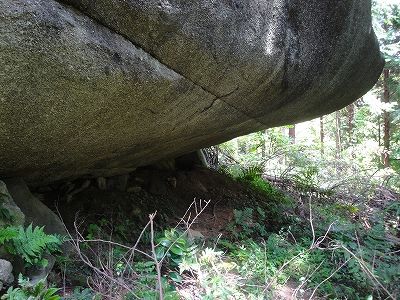 イメージ 15