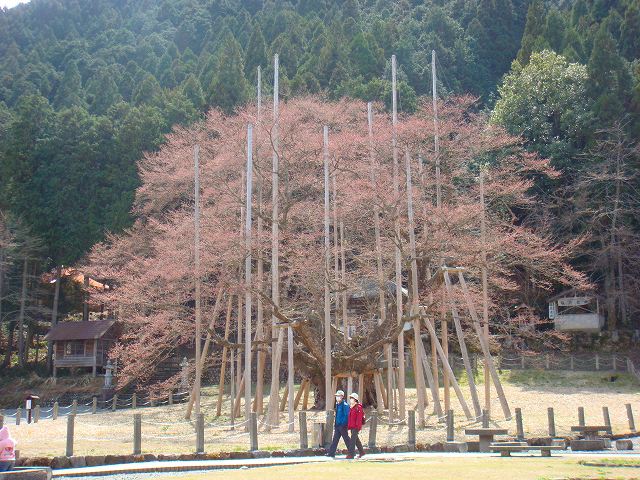 イメージ 12