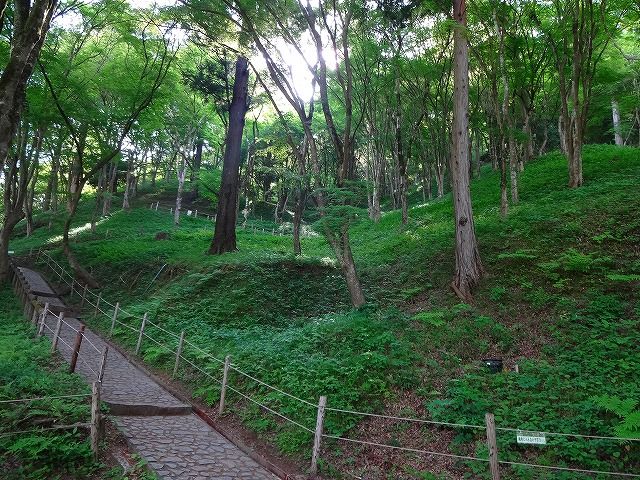 イメージ 2