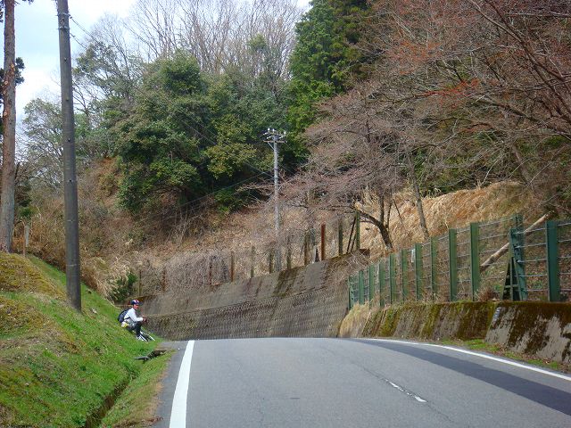 イメージ 5