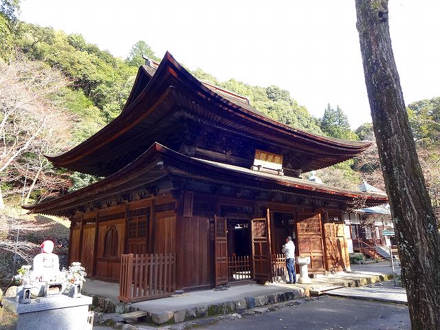 イメージ 8