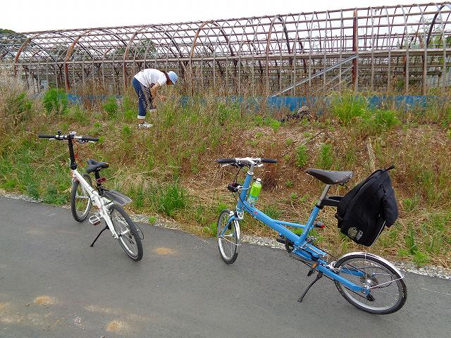 イメージ 14