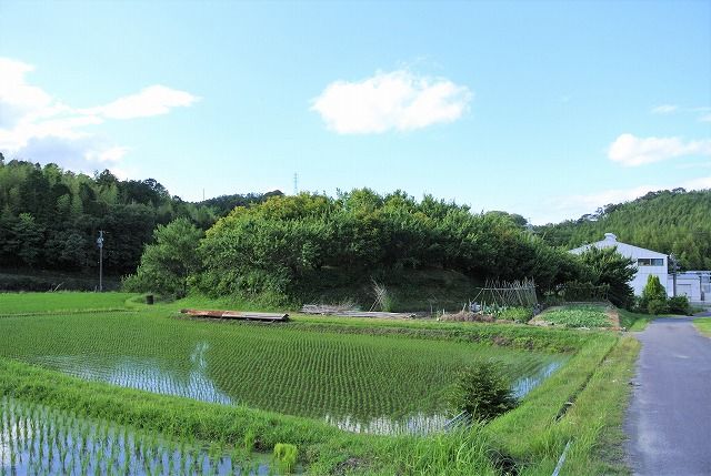 イメージ 1