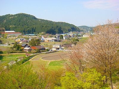 イメージ 14