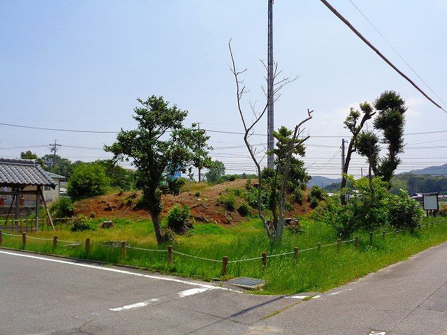 イメージ 5