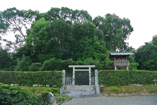 イメージ 11