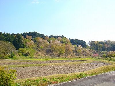 イメージ 13