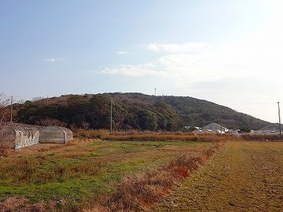 イメージ 10