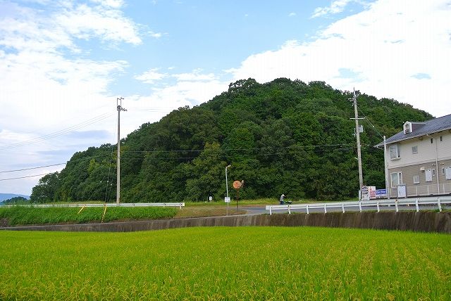 イメージ 6