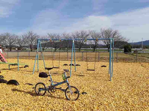 s-20191221_122229_007 (2)